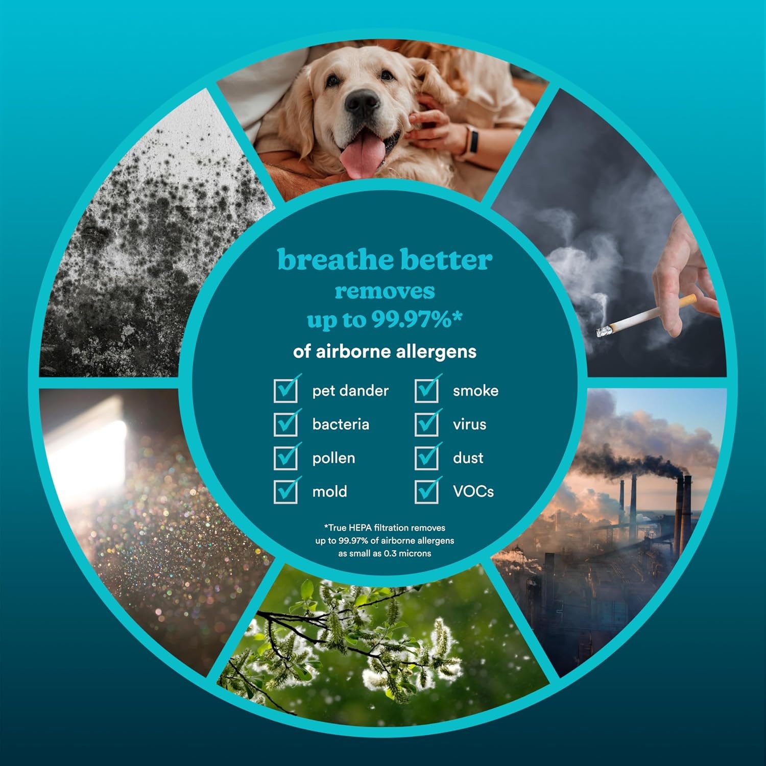 image:imageHomedics Smart Air Purifier 4in1 Tower for Large Rooms Up To 1570 sq ft  True HEPA Filtration UVC Technology Activated Carbon Odor Filter Reduces Bacteria Virus VOCs WiFi and Voice Control