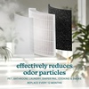image:imageHomedics 2in1 Air Purifier amp Evaporative Humidifier for Large Rooms  HEPA Air Cleaner Filtered Humidification Digital Air Quality Sensor Auto Mode Tower Design for Home No Visible MistFilter Replacement