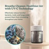 image:imageHomedics Cool Mist Humidifiers for Bedroom Home Nursery Office Plants   Total Comfort UVC Ultrasonic Humidifier Leak Resistant Design 097 Gallon Tank 35 Hour Run Time Quiet Night Light