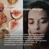 image:imageHomedics SereneScent Diffuser Oil Refill Fig amp Sage15ml  Fresh amp Herbal Home Fragrance for Uplifting amp Relaxing Ambiance Compatible with SereneScent Diffusers Ultrasonic DiffusersFig  Sage
