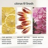 image:imageHomedics SereneScent Waterless Diffuser Oil Refill  Miami Sunset 120ml  Bright amp Tropical Home Fragrance Compatible with SereneScent Diffusers Easy Twist Plug amp PlayAmalfi Bliss