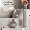 image:imageHomedics SereneScent Waterless Diffuser Oil Refill  Miami Sunset 120ml  Bright amp Tropical Home Fragrance Compatible with SereneScent Diffusers Easy Twist Plug amp PlayTokyo Tea
