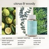 image:imageHomedics SereneScent Waterless Home Fragrance Diffuser amp Oils Set  Includes 2 120ml SereneScent Oil Bottles Maldives Escape and Aspen Fir Patented Air Diffusion Technology Large Rooms