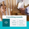 image:imageHomedics Sound Machine and Projector with 6 Soothing Sleep Sounds  Babies and Kids Tilt Projector With 9 Images To Help Your Kids Fall Asleep Great for Baby Registry SearchesLullaby