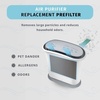 image:imageHomedics TotalClean Replacement Odor Filter Works with Homedics AP25 Air Purifier amp AF20FL Air Filter Prefilter Reduces Household OdorsAF25