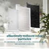 image:imageHomedics True HEPA Replacement Air Purifier Filter for APT63 and APT65  Activated Carbon  Air Cleaner Replacement filter