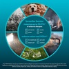 image:imageHomedics True HEPA Replacement Filter For Homedics Air Purifier  ompatible APT200 and APT2503 Dust Remover Air Cleaner Remove Household Odors Activated Carbon Filters Remove Pet Odors81 x 81 x 85