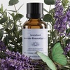 image:imageHomedics SereneScent Waterless Diffusers Oil Refill Lavender amp Eucalyptus  15ml Plug amp Play Fragrance Wellness Oil Bottle Aromatherapy Scent Refill for Home Office Bedroom Compact DiffusersLavender  Eucalyptus